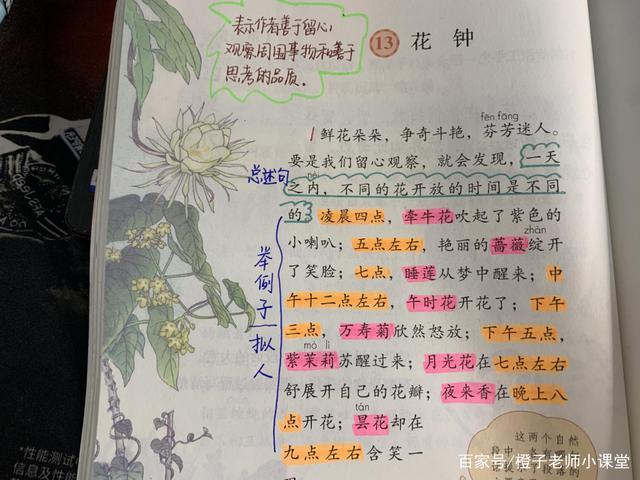 三年级课文《花钟》,内容多笔记少,找对方法很重要