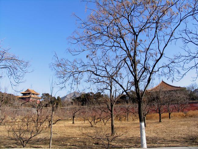四山云从,拜服归顺,左顺右归,叠叠如端庄美女,贵贱从夫鸟瞰献陵,太行
