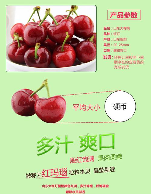【现摘现发】山东大樱桃露天成熟甜度高烟台大樱桃新鲜国产车厘子【5