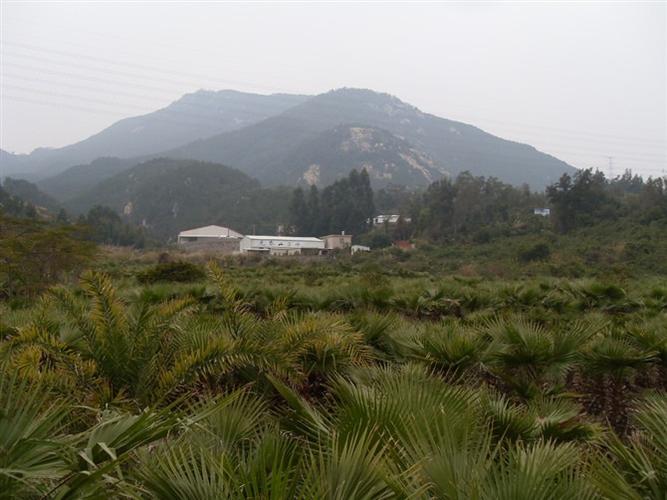 金粟洞历来是游览胜地正因为有诸多风骨铮铮的奇岩怪石才形成了紫帽山