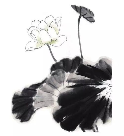 而后调和不同浓淡的墨色表现不同位置的荷叶.