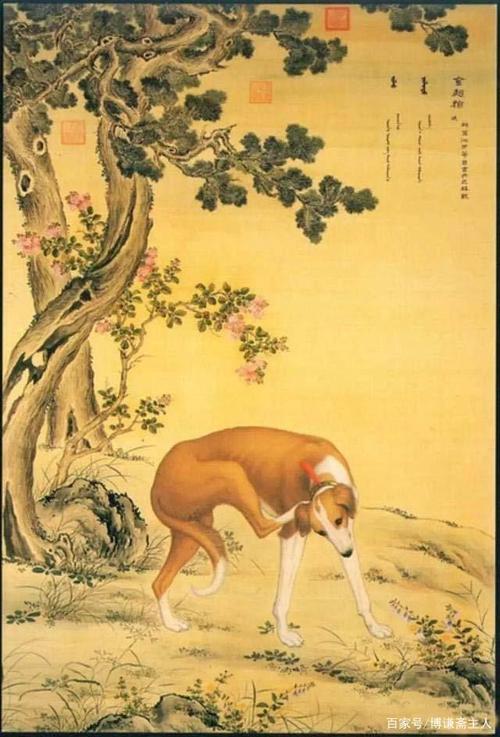 意大利清代宫廷画家郎世宁绘画经典作品欣赏(图)