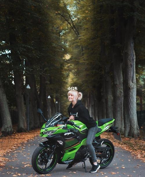 川崎ninja 400
