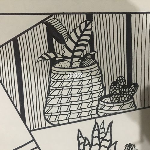 儿童线描画|花盆里的花花世界|原创含步骤_画画_小朋友_签字笔_素描