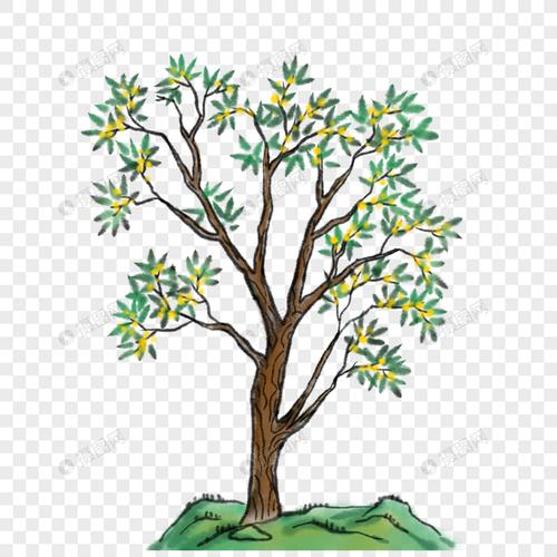 国画写意桂花树