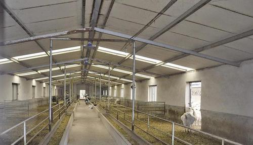 5种最实用的羊舍类型!你家是哪种?