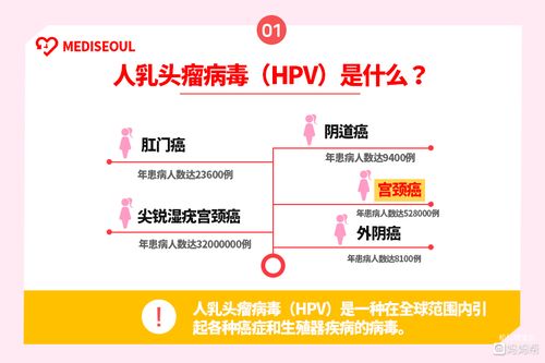 【关于hpv你不得不知道的事】