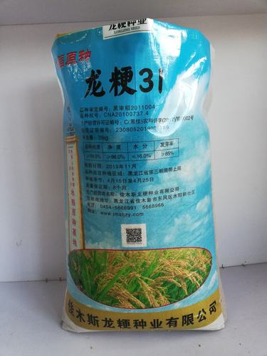 龙粳31省所原种陆续回货中