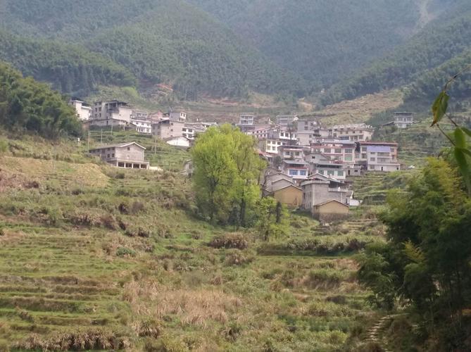 武夷山下__大坞村