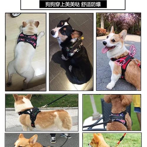 背心式狗狗牵引绳泰迪柯基比熊法斗小中型犬胸背带遛狗绳链子用品