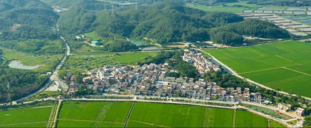 家庭,潘名汉家庭;珠海:王桂湘家庭;汕头:黄翔子家庭,蔡德雄家庭;佛山