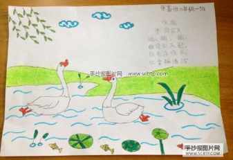 咏鹅手抄报图片一年级