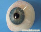 洛阳义眼佩戴价格