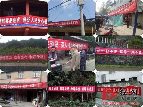 此次专项行动共破获非法种植毒品原植物案3起,铲除罂粟687株,行动取得