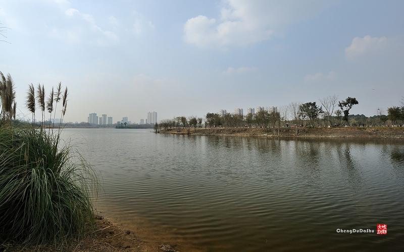 成都青龙湖湿地公园(五)