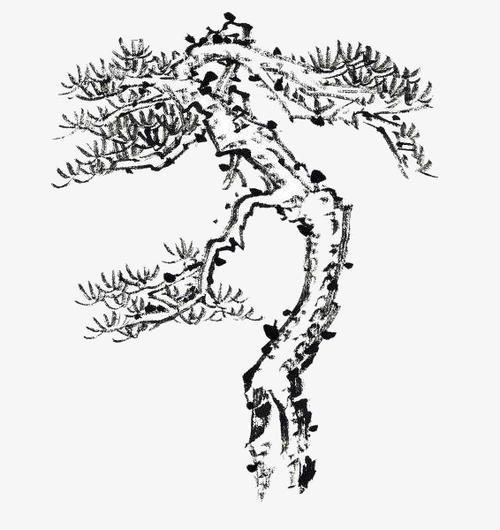 松树古树简笔画迎客松