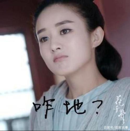 赵丽颖的十大表情包