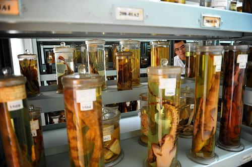 探访海洋生物标本馆[组图]