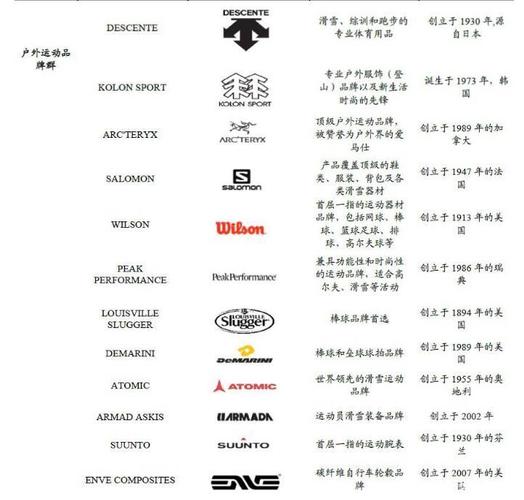 安踏接手以来,迪桑特中国门店的规模从6家增至145家,而2019