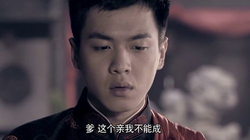 是由梦舟文化出品,张健执导,张若昀,高洋,毛晓彤和吴承轩等主演的电视