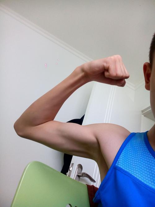 我是12岁男孩,正在锻炼肌肉,有六块腹肌,但不明显,有工二头肌和工三头