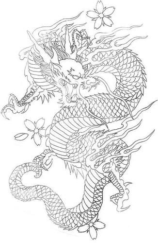 干货!龙纹高清白描线稿,艺术生打印出来临摹学习,收藏
