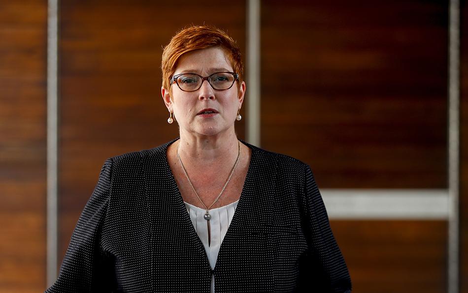 澳大利亚外长:美国计划在达尔文港附近增建军事设施