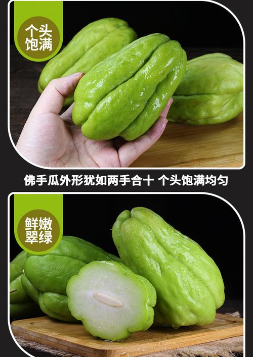 云南佛手瓜 高原新鲜蔬菜农家自种洋瓜捧瓜丰收窝瓜寿瓜洋丝瓜