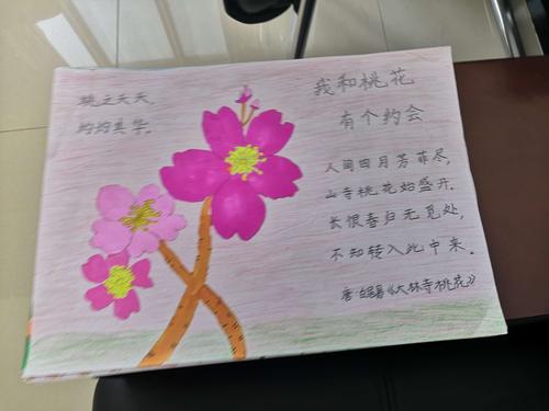 "我和桃花有个约会"锡市芳草小学二年级优秀手抄报展