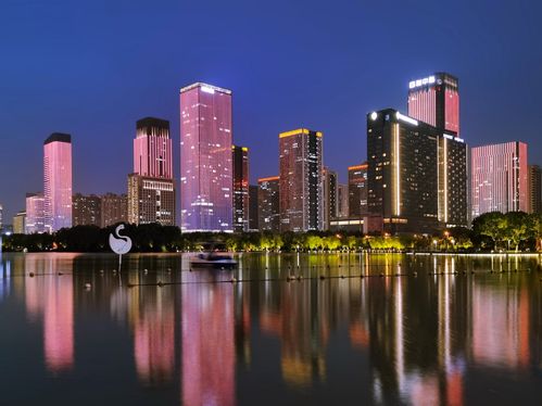 合肥天鹅湖夜景随手拍