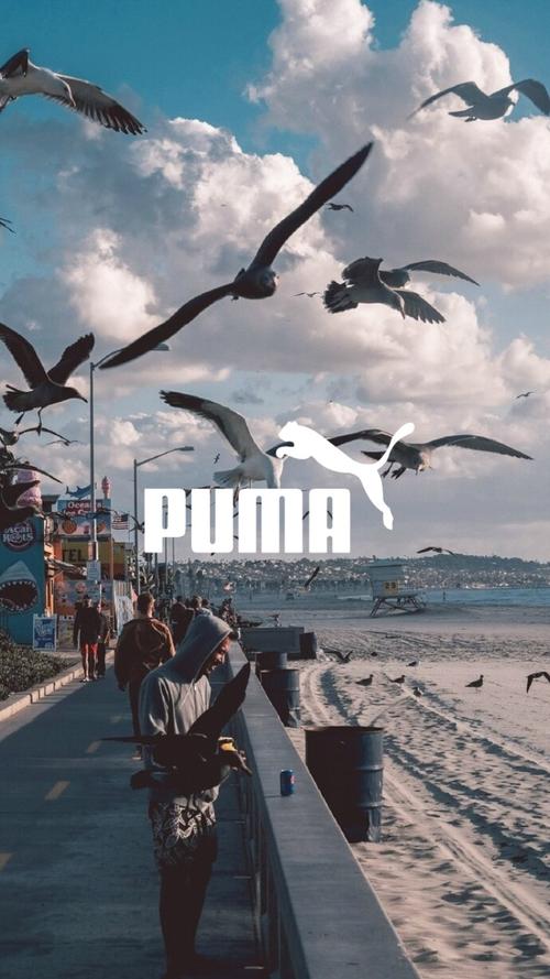 700_1245 竖版 竖屏