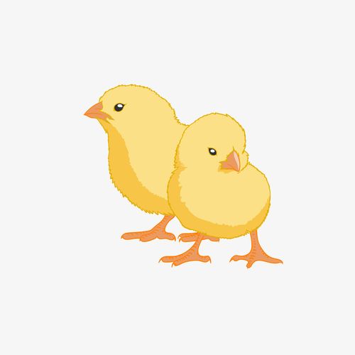 卡通小鸡矢量图下载