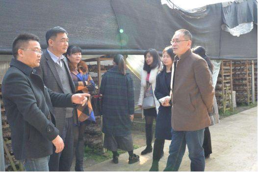 china说丨乡村振兴聚焦人才,丽水庆元全球招募"荣誉村长"