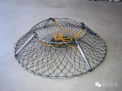 我个人觉得最有效的螃蟹笼子是这个.