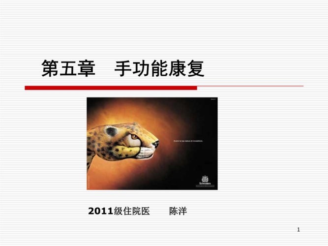 手功能康复讲稿.ppt