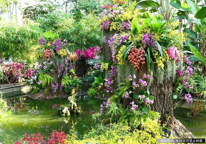 2020年1月23日,北京植物园室内展园清新的景观布置匠心独到,鸟语花香