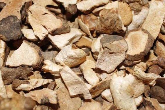 土茯苓与茯苓的区别