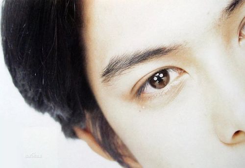 柏原崇 - 堆糖,美图壁纸兴趣社区