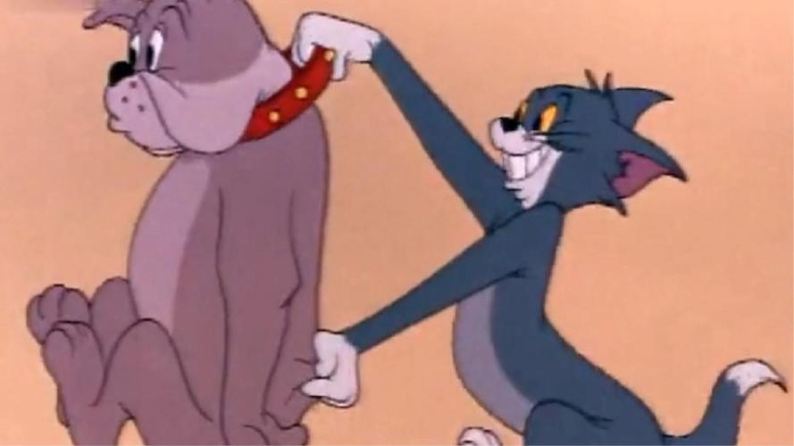 成功保卫食物,还获得汤姆奖励 为您推荐: 猫和老鼠:杰瑞:谁还不是一只