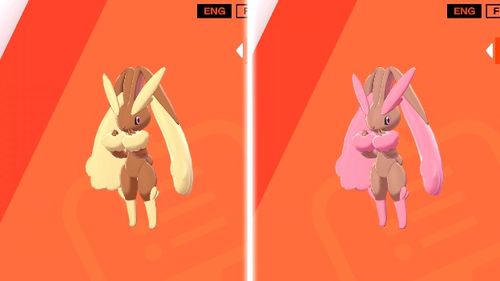 宝可梦剑盾铠之孤岛图鉴卷卷耳 长耳兔进化图鉴