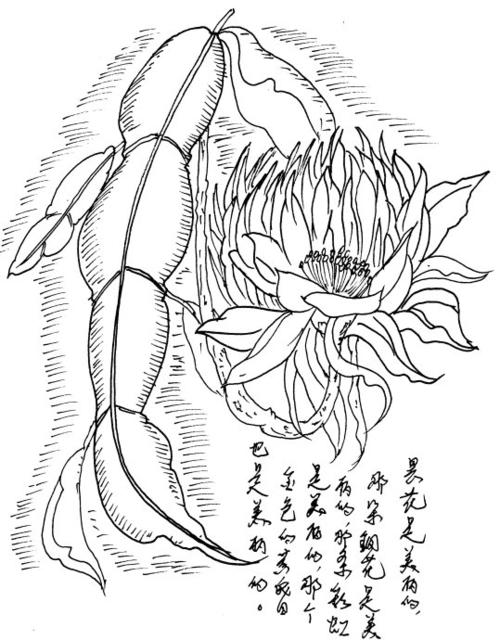 昙花简笔画涂色