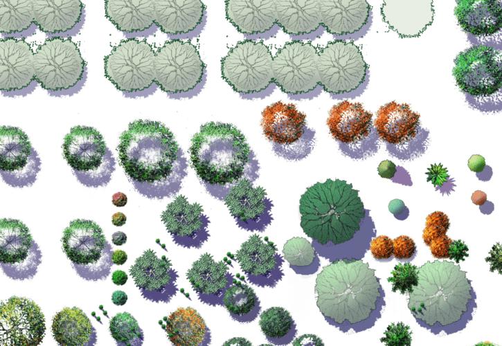 园林景观ps彩色总平面图案笔刷立面填充植物铺装psd分层设计素材