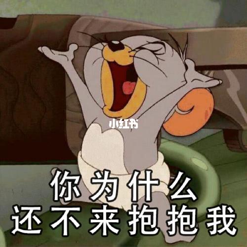 猫和老鼠的泰菲小老鼠|超萌表情包_表情包_猫和老鼠_表情包分享_素材