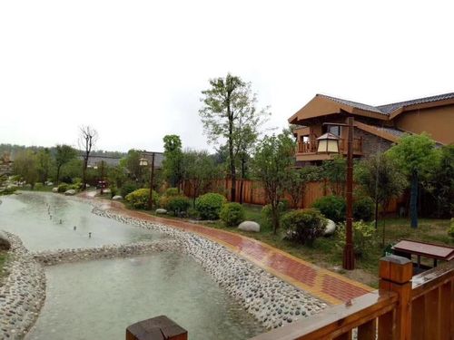 安阳到中华蜂蜜园,鄢陵金雨玫瑰温泉,许昌特色餐一日游