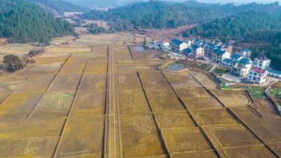 江西峡江:积极推进高标准农田建设