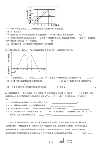 光合呼吸综合题及答案[参考].pdf 6页