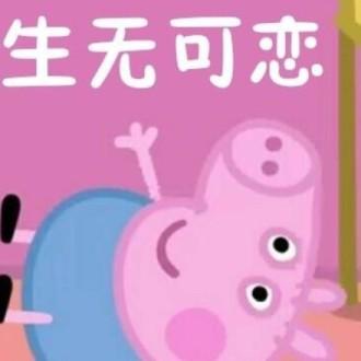 你这个磨人的小妖精猪头像