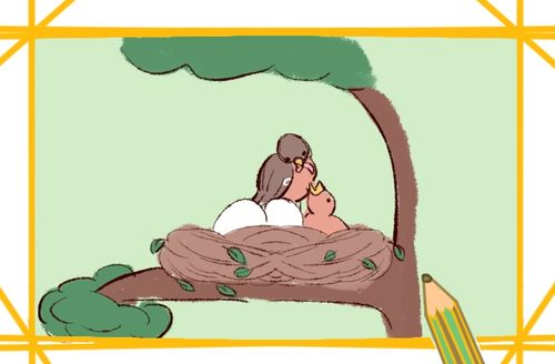 好看的鸟妈妈简笔画教程步骤图片