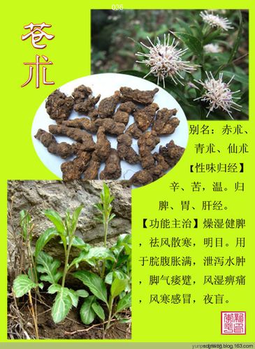 中草药图谱 -午老虎网博