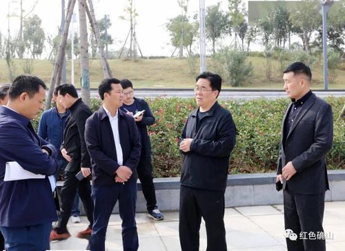 【关注】县委副书记,县长彭广峰率队观摩我县重点城建